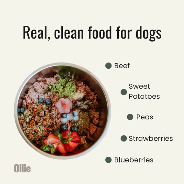 Pet Nutrition